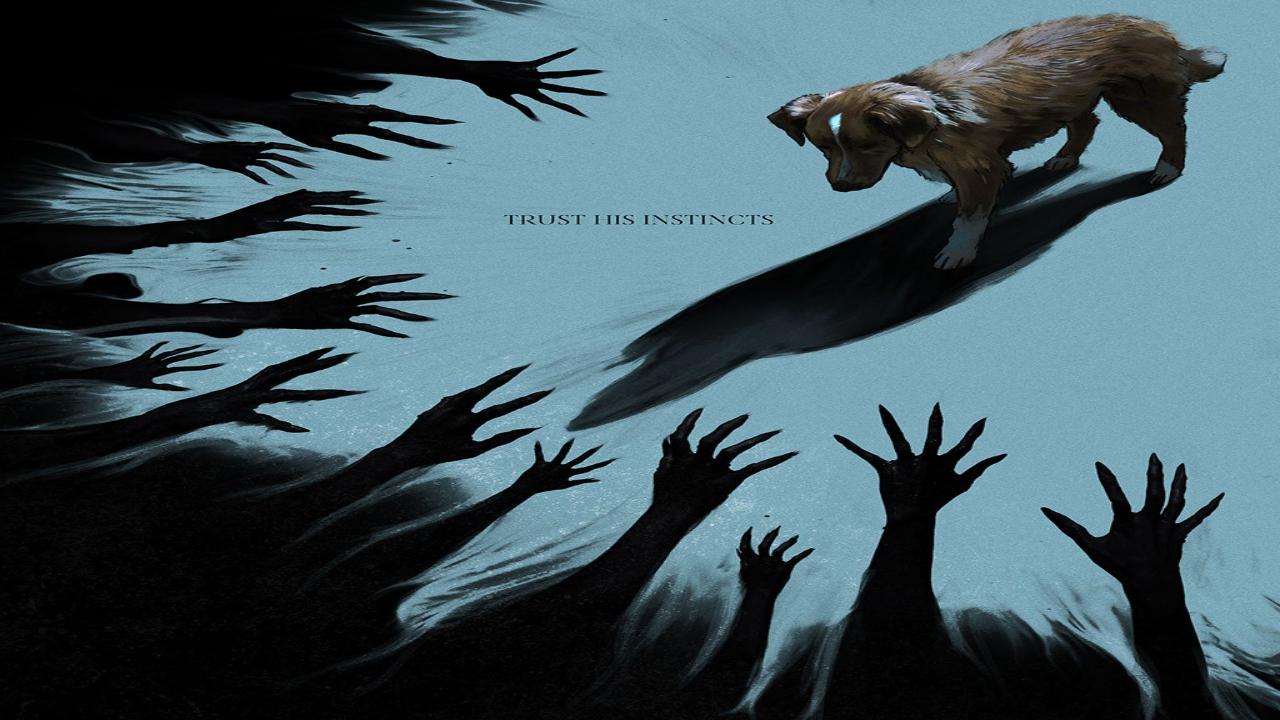 فيلم Good Boy 2025 مترجم اون لاين